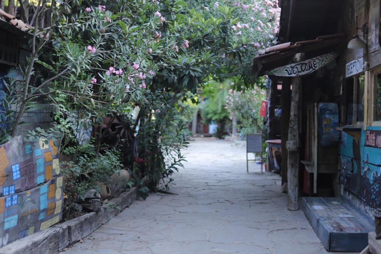 奥林巴斯 卡迪尔树顶屋旅馆旅舍 外观 照片