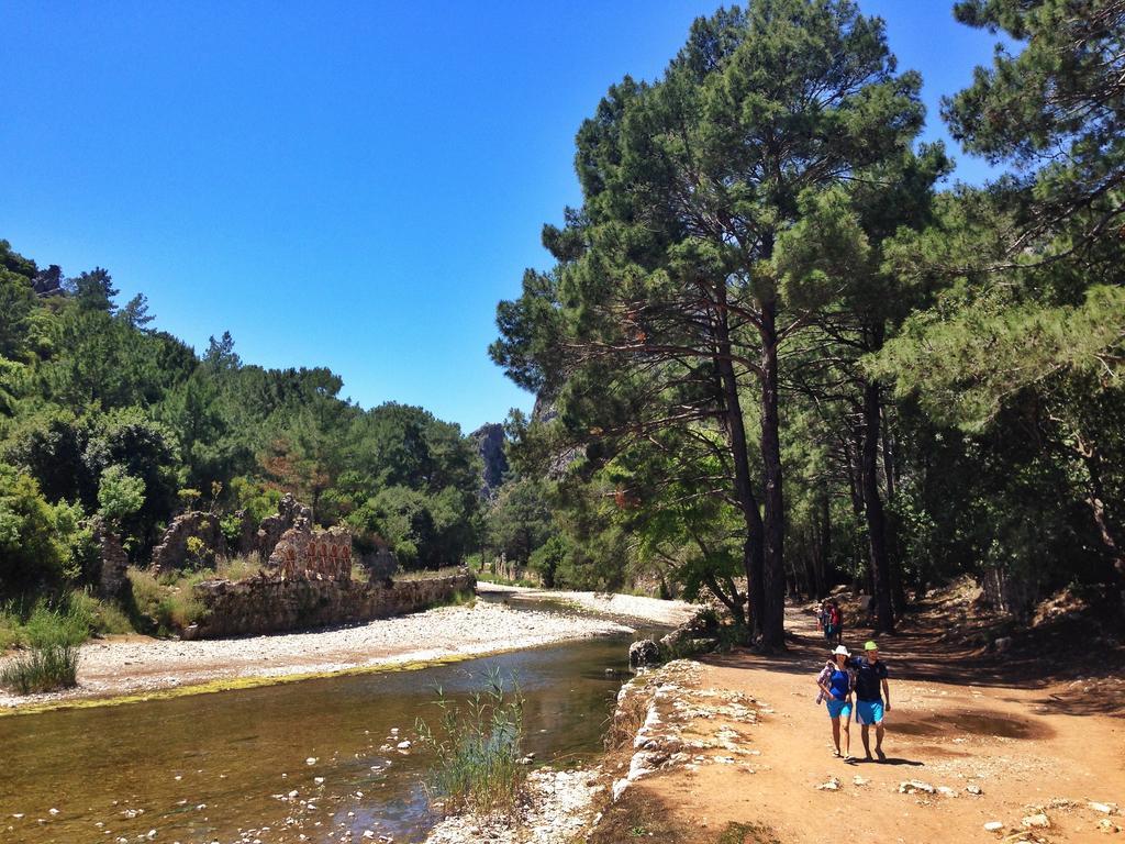 奥林巴斯 卡迪尔树顶屋旅馆旅舍 外观 照片