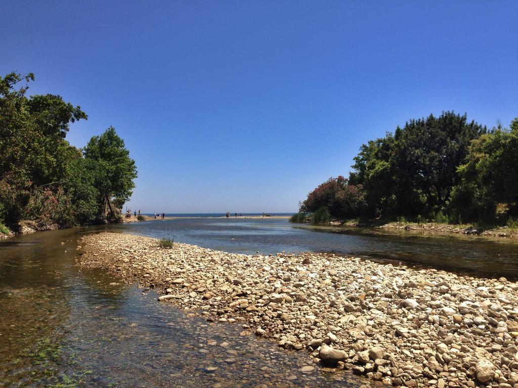 奥林巴斯 卡迪尔树顶屋旅馆旅舍 外观 照片