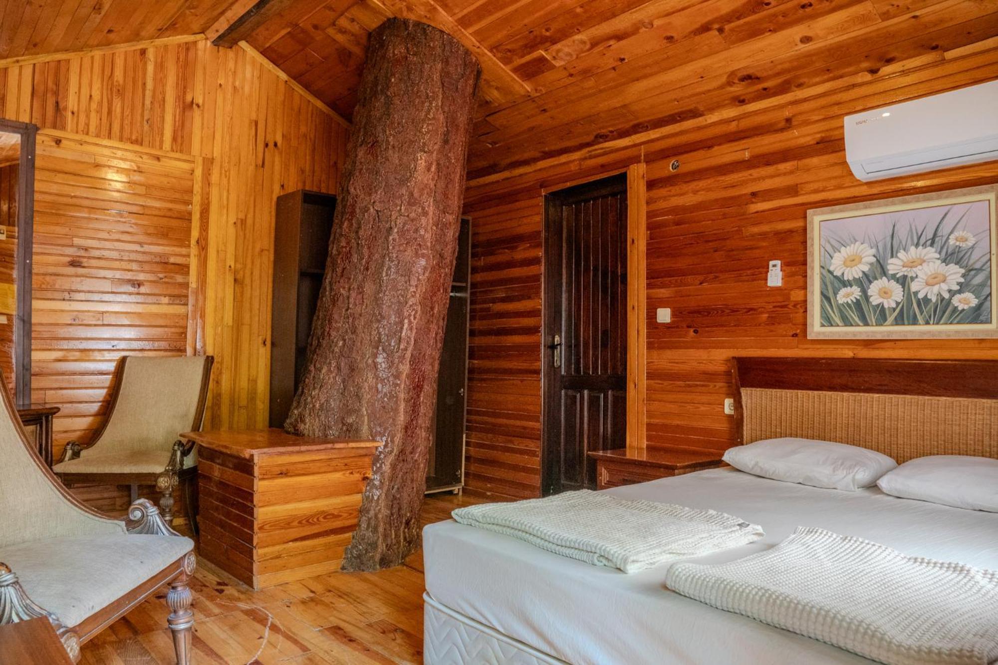 奥林巴斯 卡迪尔树顶屋旅馆旅舍 外观 照片