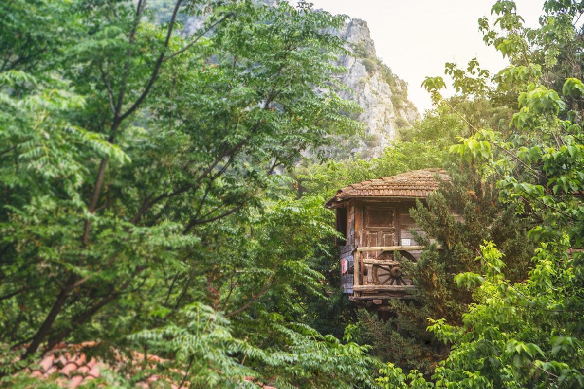 奥林巴斯 卡迪尔树顶屋旅馆旅舍 外观 照片