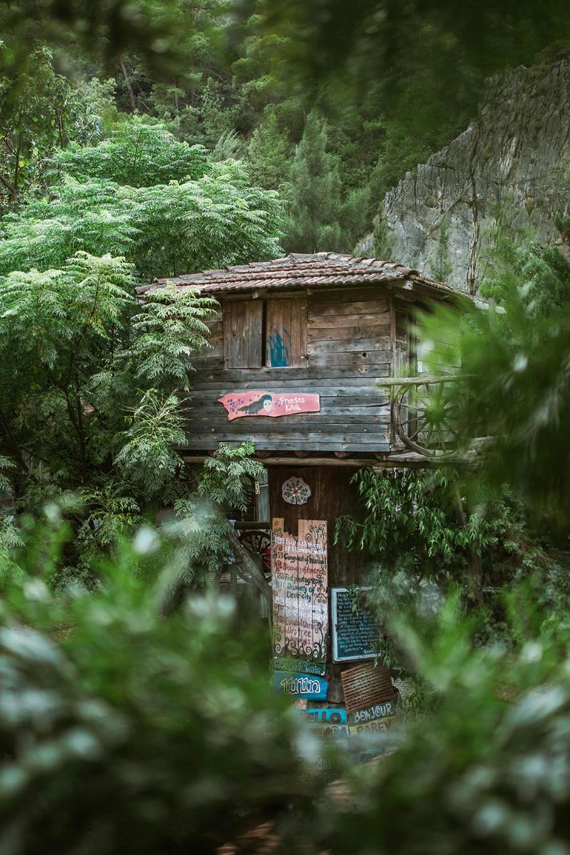 奥林巴斯 卡迪尔树顶屋旅馆旅舍 外观 照片