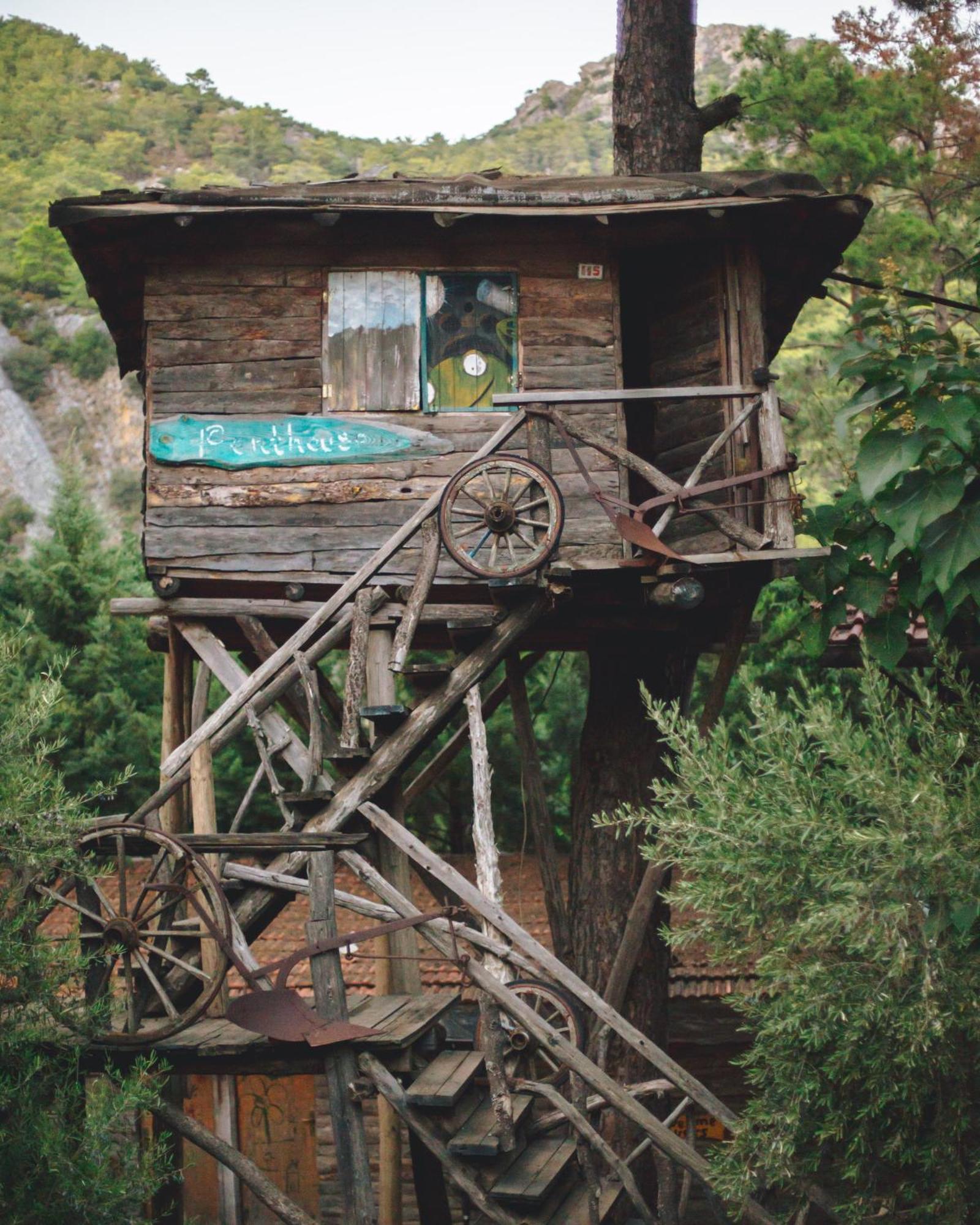 奥林巴斯 卡迪尔树顶屋旅馆旅舍 外观 照片