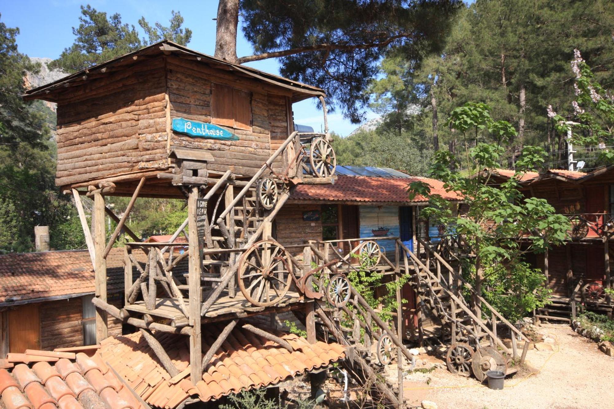 奥林巴斯 卡迪尔树顶屋旅馆旅舍 外观 照片