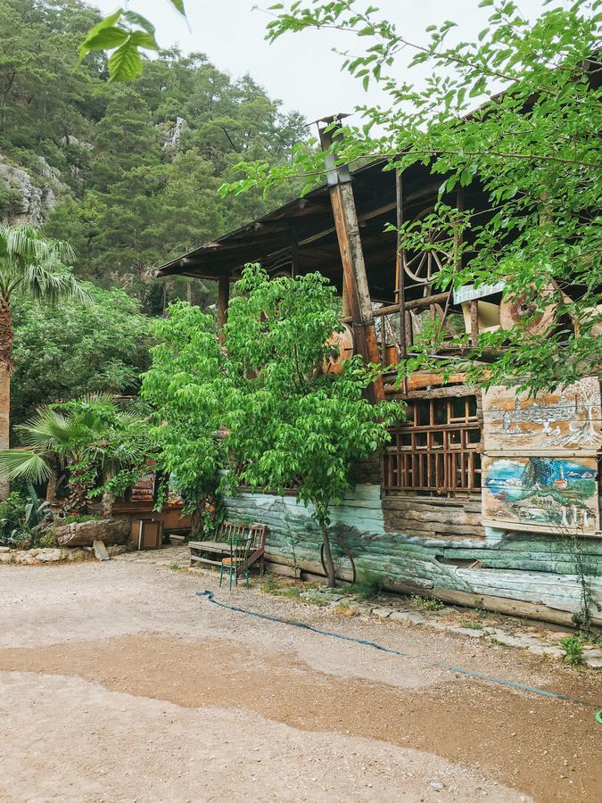 奥林巴斯 卡迪尔树顶屋旅馆旅舍 外观 照片
