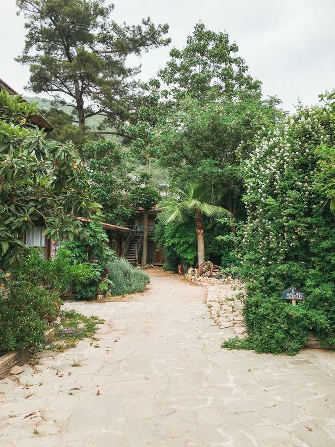 奥林巴斯 卡迪尔树顶屋旅馆旅舍 外观 照片