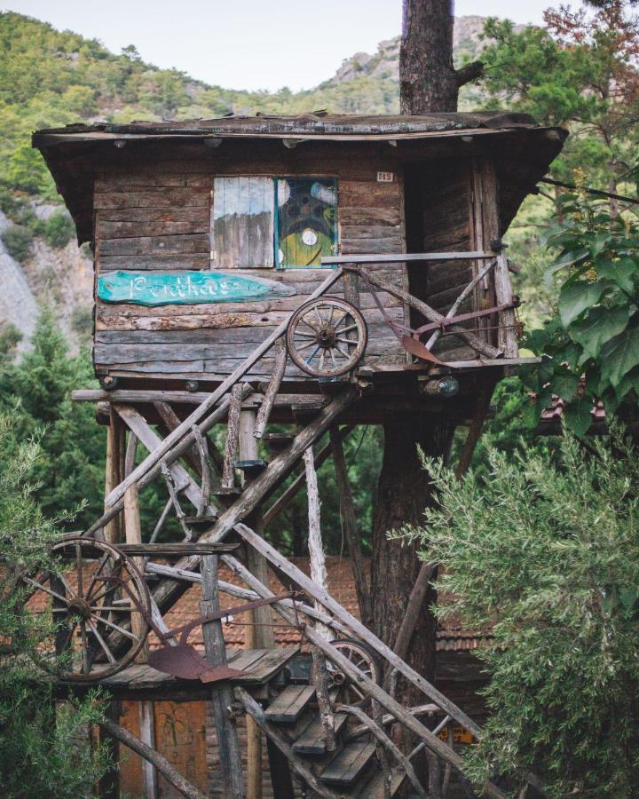 奥林巴斯 卡迪尔树顶屋旅馆旅舍 外观 照片