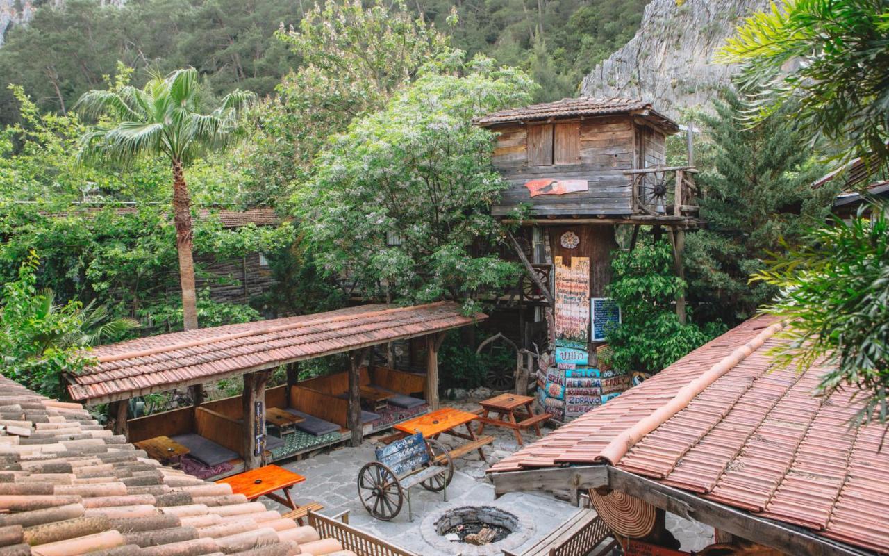 奥林巴斯 卡迪尔树顶屋旅馆旅舍 外观 照片