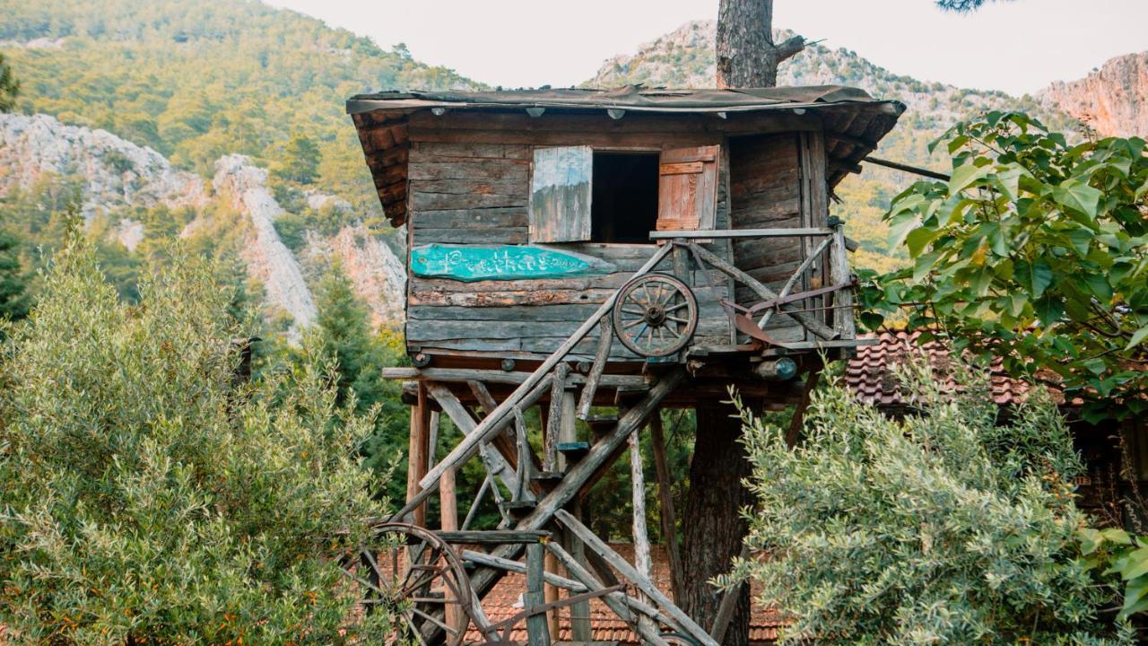 奥林巴斯 卡迪尔树顶屋旅馆旅舍 外观 照片