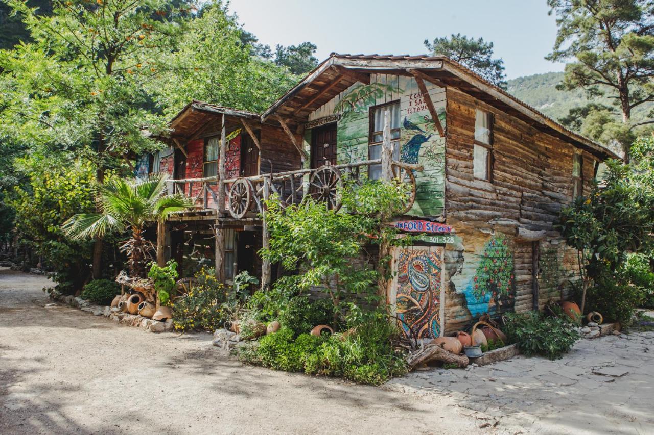奥林巴斯 卡迪尔树顶屋旅馆旅舍 外观 照片